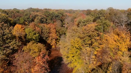 drone rises above lake in autumn forest