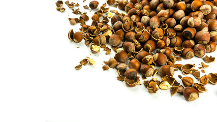Heap of hazelnuts scattered on white background