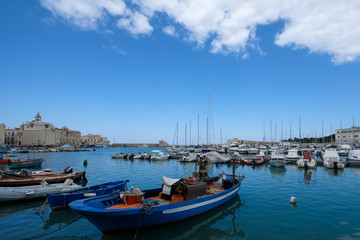 Fototapeta premium the port of Trani, historic medieval town in Puglia, southern Italy. 