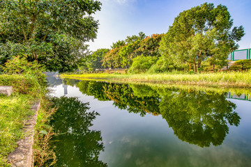Fototapeta premium Shenzhen Beacon Hill Park