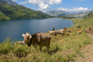 Lake Engstlensee over Engelberg on Switzerland