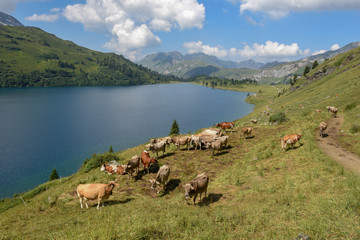 Fototapeta na wymiar Lake Engstlensee over Engelberg on Switzerland