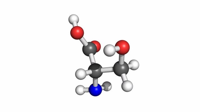 Serine (amino acid) molecule, rotating ball and stick model