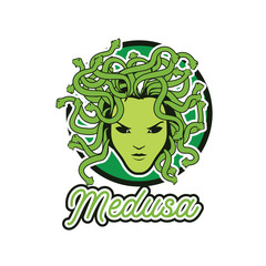 snake hair or medusa logo for your business, vector illustration
