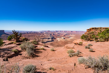 Green River Overlook Canyon Lands National park in Utah United States of America