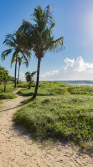 Fototapeta premium Praia boa viagem 