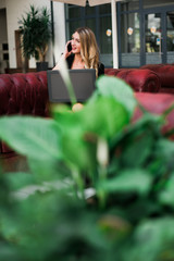 Beautiful young blonde business woman sitting in an office talking on phone using a laptop.