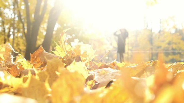 Blurred silhouette of a woman walking in the autumn light in fallen leaves, abstraction