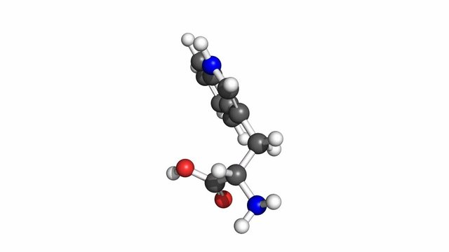 Tryptophan (amino acid) molecule, conventional coloring. Rotating ball and stick model, seamless loop.