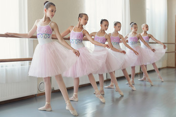 Group of young ballerinas practicing dance at classical ballet school © Prostock-studio