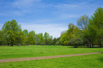 Park path , blue sky