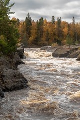 Scenic Autumn woods along the rushing rapids of the St. Louis River at Jay Cooke State Park in Northern Minnesota