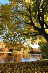 Indian Summer, Schönheit des Herbstes am See, Spätsommer, Indian Summer, wundervolle Farben im Wald, weiches, stimmungsvolles Licht :)