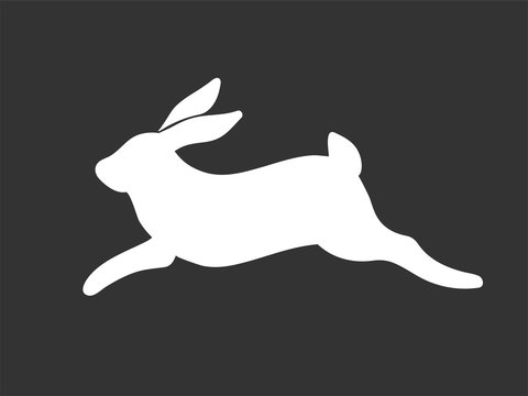 White rabbit running vector