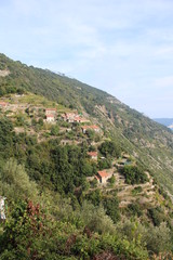 Fototapeta na wymiar Borgo marino sulla collina scoscesa con bosco