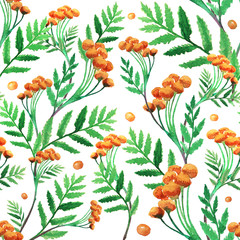 Seamless floral pattern on white background, hand drawn watercolor illustration