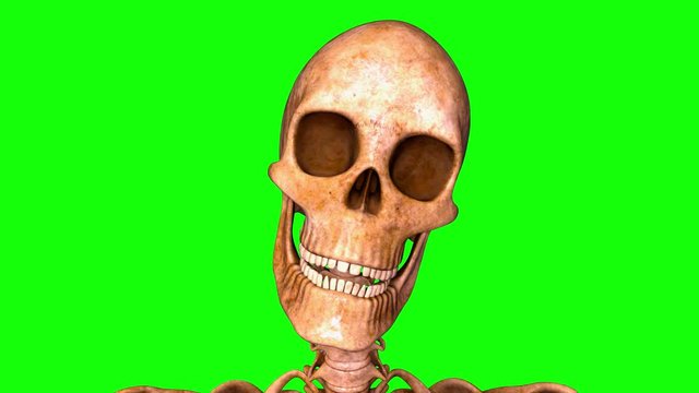 skeleton laughing green chroma key background
