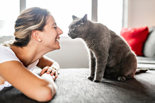 Nice Grey Cat With Woman On Sofa