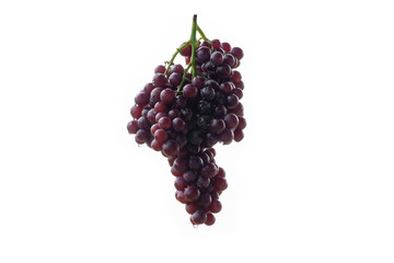 Bunch of grapes