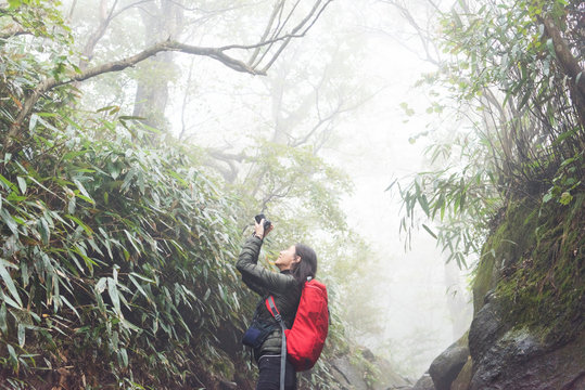 緑の中でカメラを構え写真を撮る女性