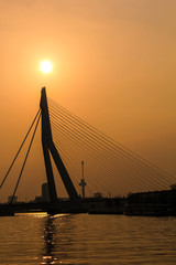 Fototapeta na wymiar Silhouette of Erasmus Bridge (Erasmusbrug) in Rotterdam pointing to the sun