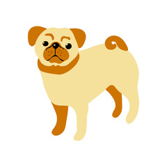 vector color cute pug dog pet animal  cartoon doodle pattern simple childish design for textile paper