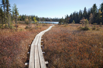 Wooden walkway leading to small trout lake in northern Minnesota during autumn