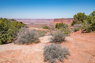 Grand View Point Overlook Canyonlands National park USA