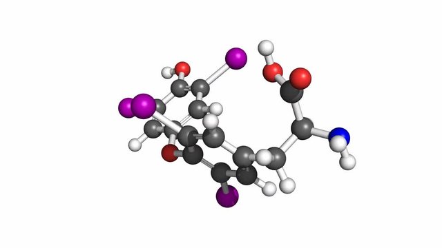Thyroxine (T4) is a thyroid hormone that regulates metabolism. Atoms are colored according to convention. Rotating ball-and-stick model, seamless loop.