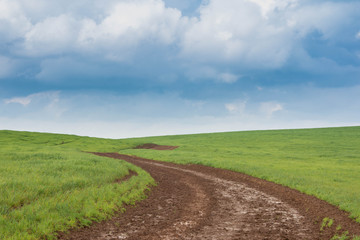 road in the field