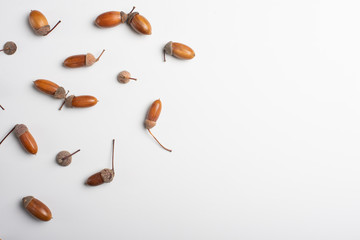 Acorns collage. Flat lay autumn fall minimal concept