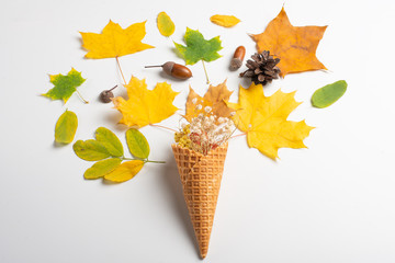 yellow waffle cone with dried leaves of autumn leaves on a white background, flat lounger, top view.Art