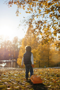 Little Boy Pulling A Wagon With Pumpkins In Autumn