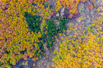 Horn groove door autumn color aerial photography