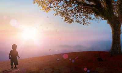 World environment day concept: Child standing on autumn mountain sunset background