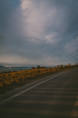 Road