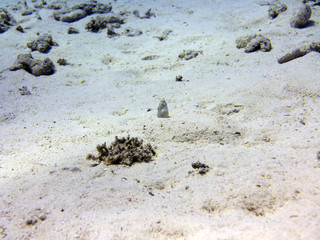 Rotes Meer
