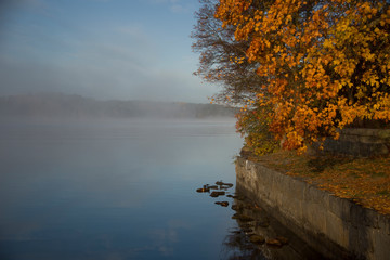 Lake Malaren in stockholm an early cold and foggy autumn day, shilouettes and reflextion in the...