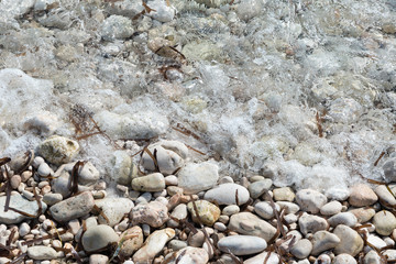 shore with stones