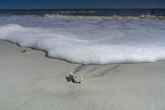 Beachbody Images – Browse 48 Stock Photos, Vectors, and Video | Adobe Stock