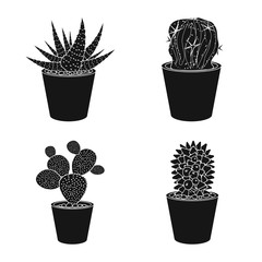 Isolated object of cactus and pot symbol. Collection of cactus and cacti stock vector illustration.