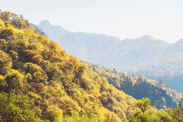 Сolorful mountains autumn landscape.