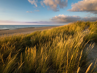 View from dunes with marram grass  towards calm ocean