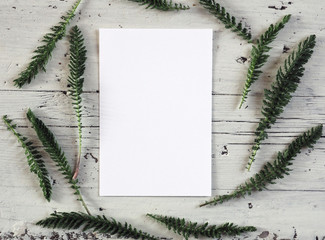 Styled stock photo stationery mockup with blank greeting card, wild herbs leaves, on a rustic white background. Empty space. Vertical top view