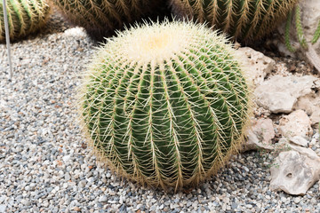 Botanical Garden of Catania Sicily