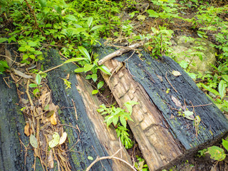 Charcoal beside the walkway to the top of Khao Luang mountain in Ramkhamhaeng National Park,Sukhothai province Thailand