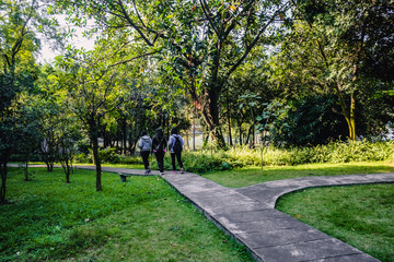Park beside the lake in xiqiao mountain destination in foshan city china