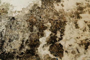 cement texture grunge old and dirty