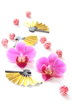 日本の正月イメージ　胡蝶蘭と扇と水引玉