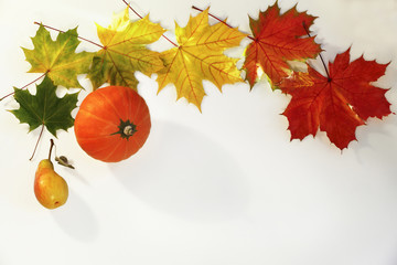Colorful autumn maple leaves, pumpkin and pear isolated on white background
